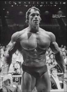 arnold-schwarzenegger-11