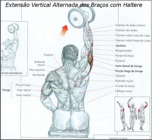 treino-triceps-01