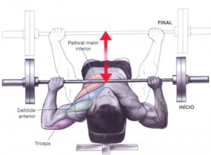 supino_em_banco_declinado